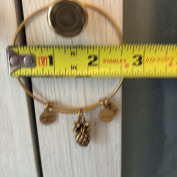 Alex and Ani $ Goldtone Pineapple Charm Bangle - Picture 4 of 4